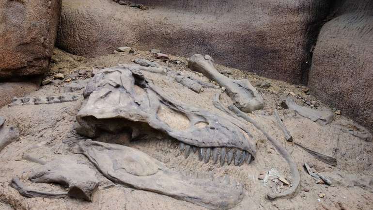 У Польщі виявили найбільше в Європі "поховання" динозаврів