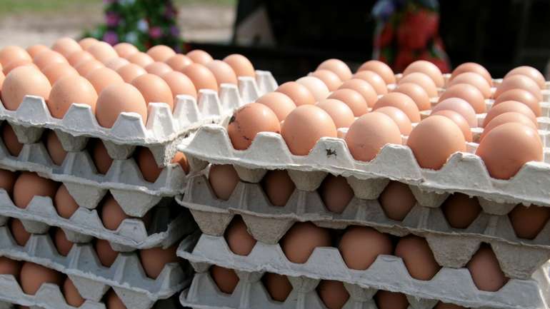 Ціни на яйце куряче зростатимуть через дефіцит?