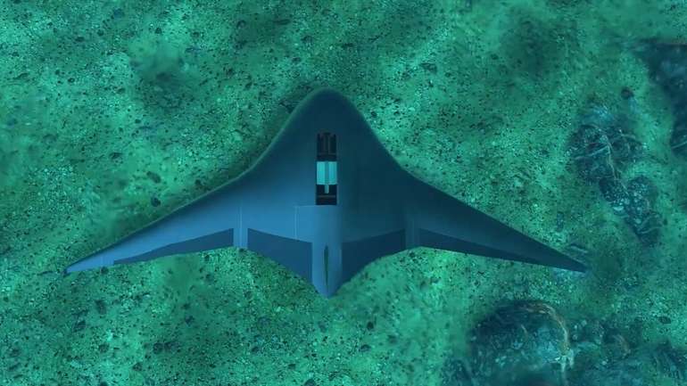 Для армії США збудують роботизованих скатів Manta Ray