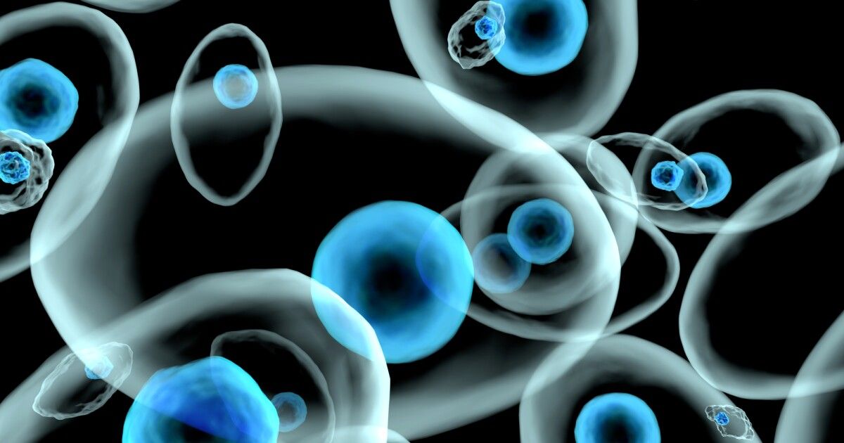 Дайджест: 21 наукова подія року, що минає_25