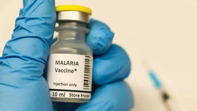 Дайджест: 21 наукова подія року, що минає_41