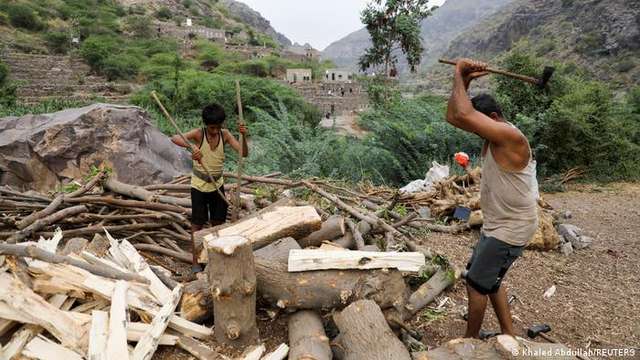 Громадянська війна в Ємені згубно впливає на екологію_2