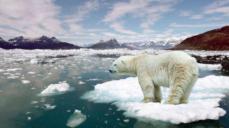 2021-го року температура світового океану була найвищою в історії