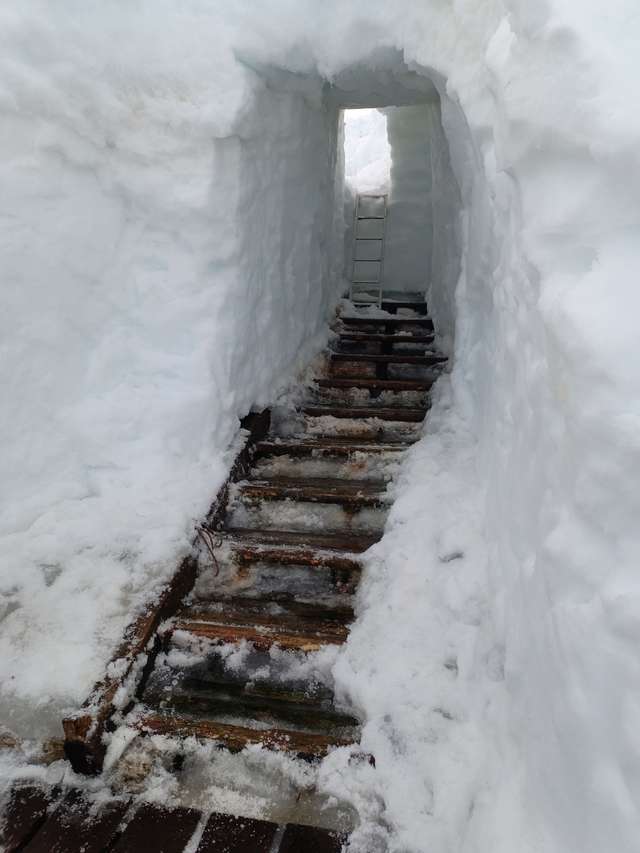 В Антарктиді українські полярники відкопують станцію «Академік Вернадський», яку завалило снігом_2
