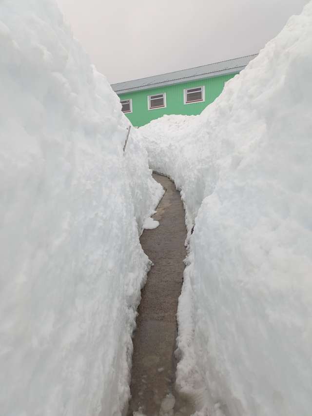 В Антарктиді українські полярники відкопують станцію «Академік Вернадський», яку завалило снігом_10