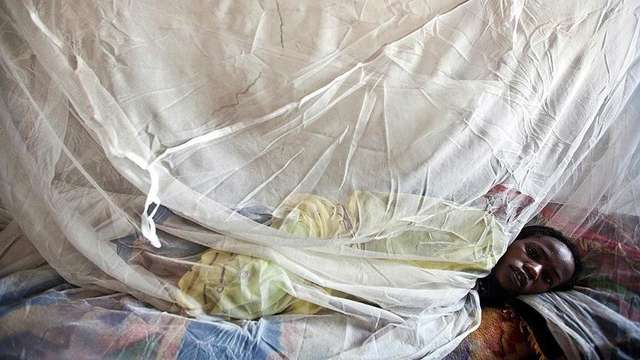 У Західній Африці лютує гарячка Ласса, від якої сотнями гинуть діти_1