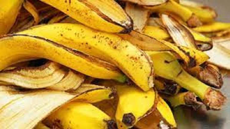 Швейцарські вчені навчилися отримувати енергію з бананів