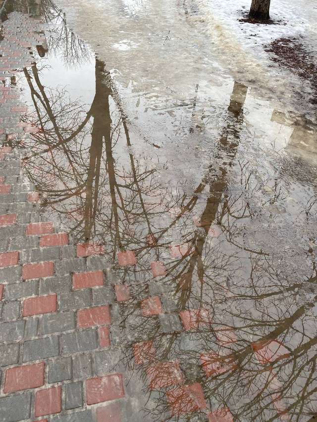 На вулицях Полтави замість маршруток працюватимуть гондольєри_3
