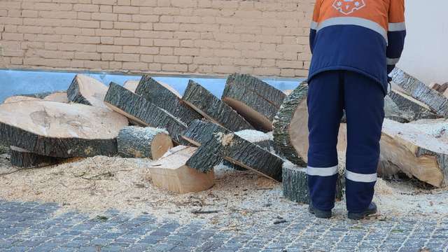 Роботи з випилювання дерев по вул. Шевченка, 3 у місті Полтаві