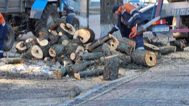 Роботи з випилювання дерев по вул. Шевченка, 3 у місті Полтаві