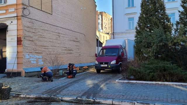 Роботи з випилювання дерев по вул. Шевченка, 3 у місті Полтаві