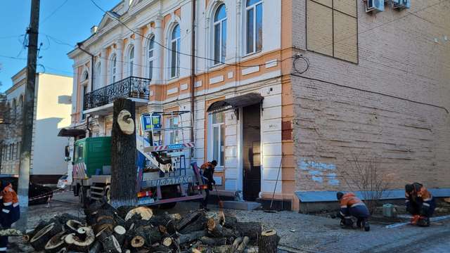 Роботи з випилювання дерев по вул. Шевченка, 3 у місті Полтаві