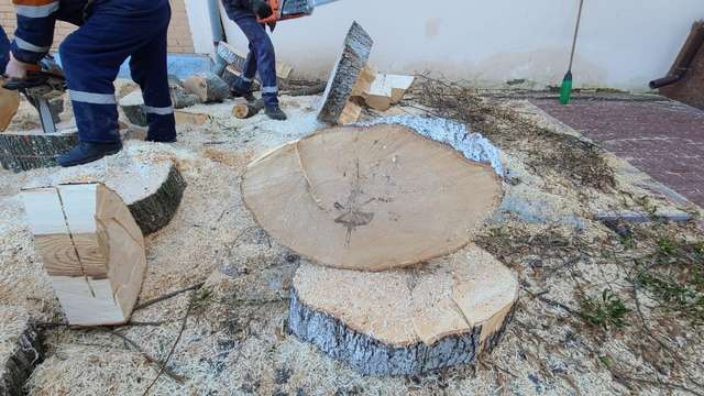 Роботи з випилювання дерев по вул. Шевченка, 3 у місті Полтаві