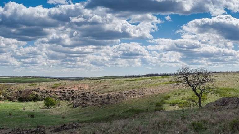 На Донеччині замість пасовищ створюють заказники