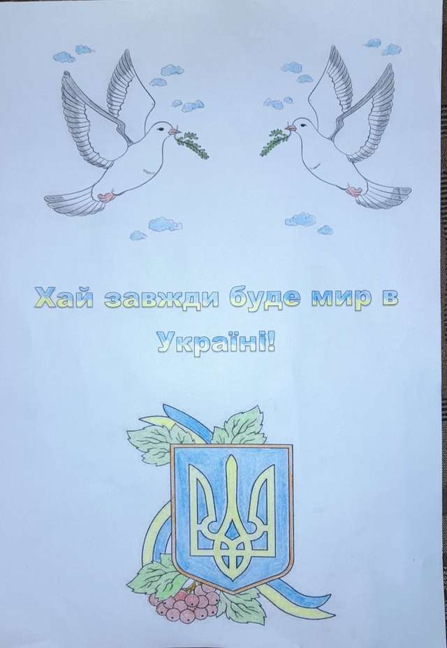 Повсякчасна турбота добрих самарян дісталася Кременчука_1