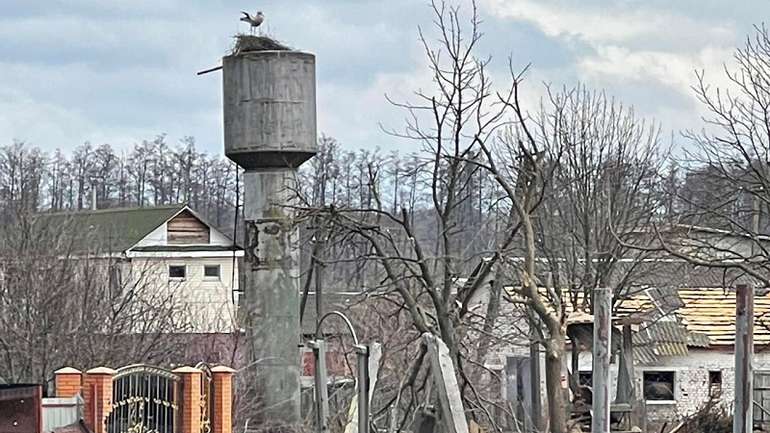 Чернігів оживає як фенікс із попелу, – голова ОВА В'ячеслав Чаус