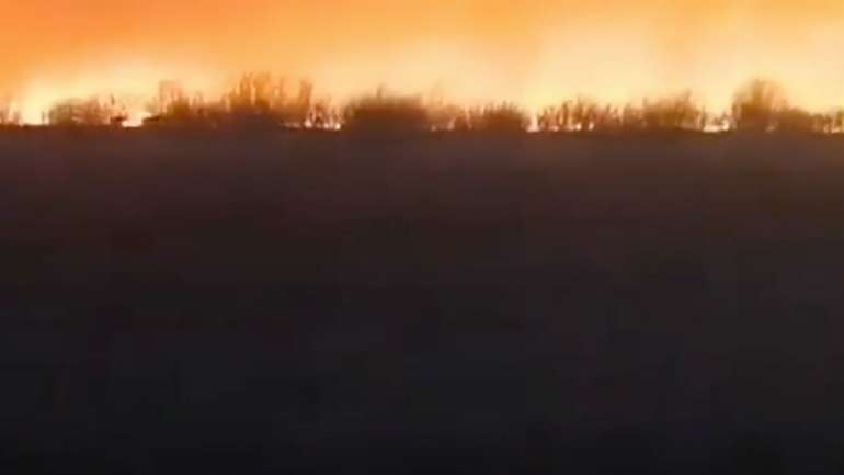 У Сибіру палають ліси