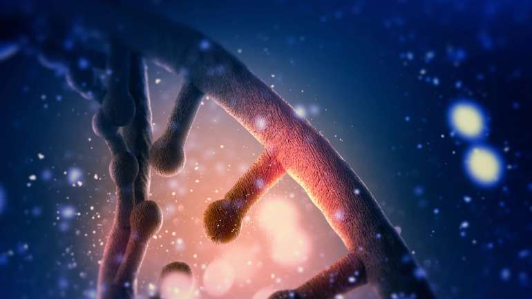 Квантові ефекти запускають мутацію ДНК, – британські науковці