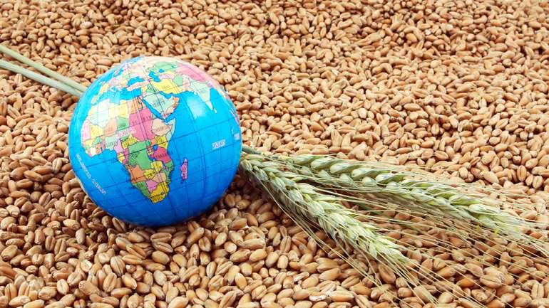 У глобальній продовольчій кризі винна виключно росія, – очільник МЗС України