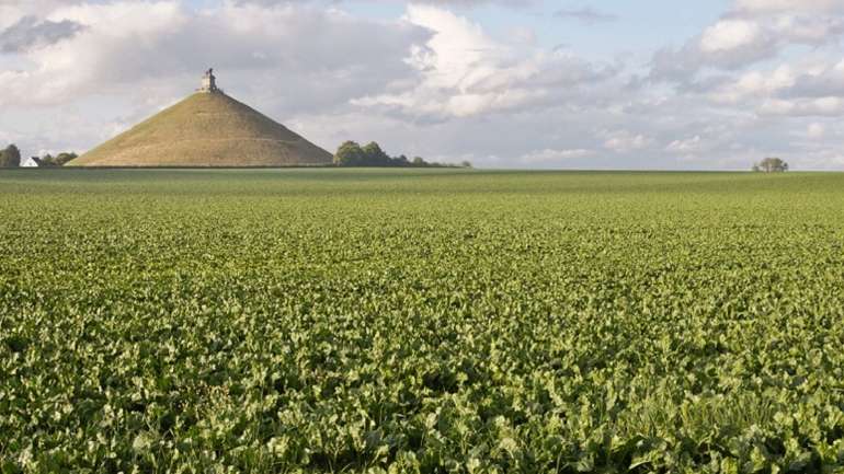 Таємниці Ватерлоо: археологи дослідять курган часів Наполеонівських війн