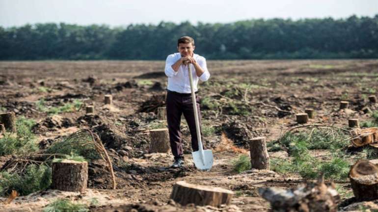 Мільярд дерев від Зеленського. З лісу надходять тривожні новини