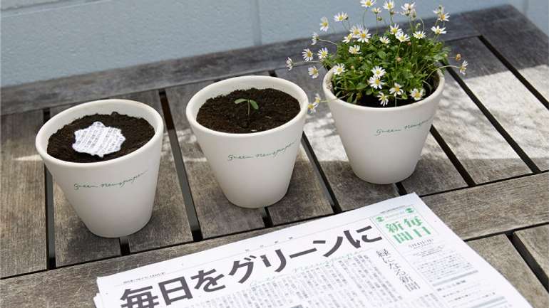 Японці винайшли газетний папір, що після використання проростає травою