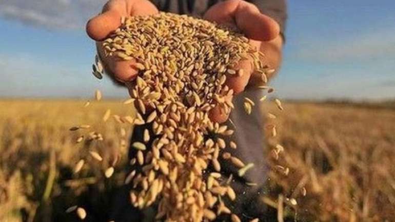 Мешканці Шишацької громади зберігатимуть цьогорічний врожай у льохах
