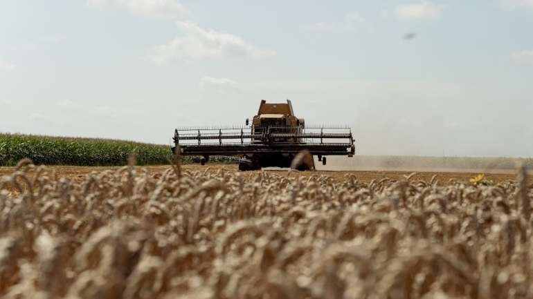 Вітчизняні аграрії намолотили 25,3 млн т зернових – МінАПК