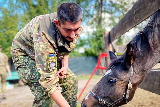 Іпотерапія як дієвий метод реабілітації травмованих українських захисників_1