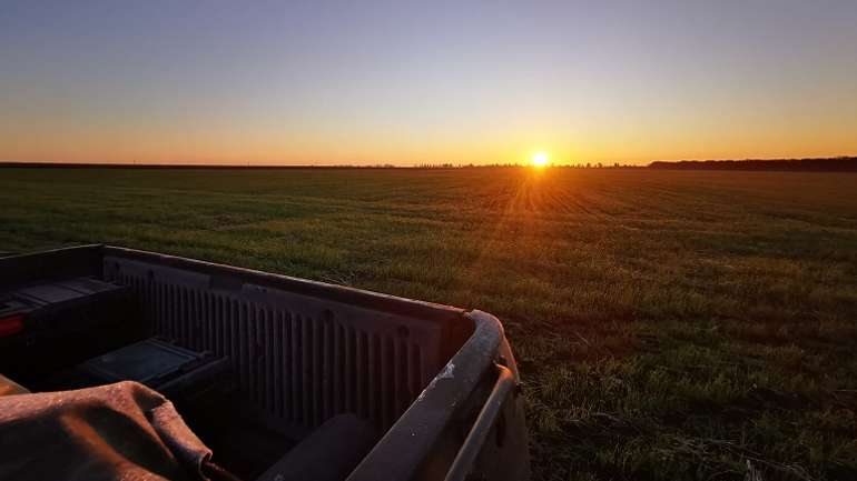 Наш Донбас посірів і знелюднів, але над ним сяє українське сонце