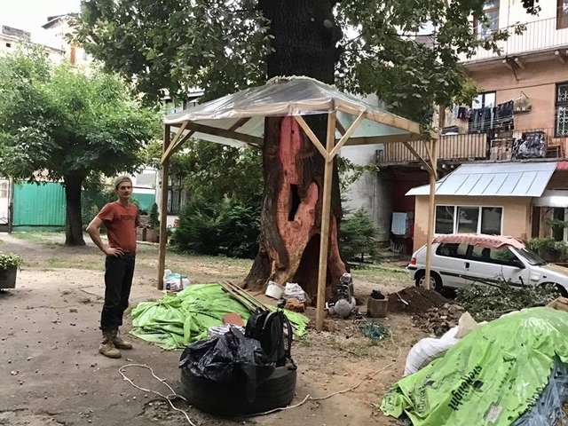 Арборист Володимир Ветроградський за роботою