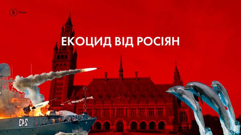 П’ята частина дельфінів Чорного моря загинула