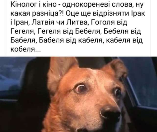Скандал навколо« Довженко-Центру»_1