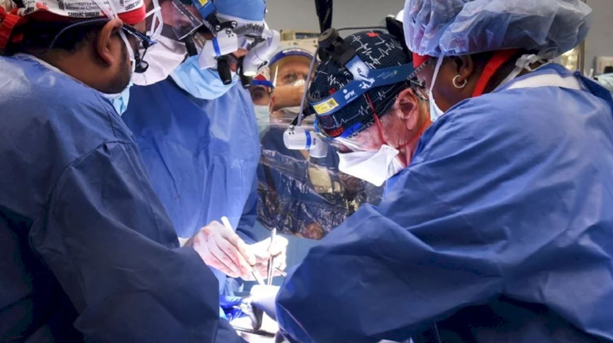 Дайджест: 22 наукові події року, що минає_25