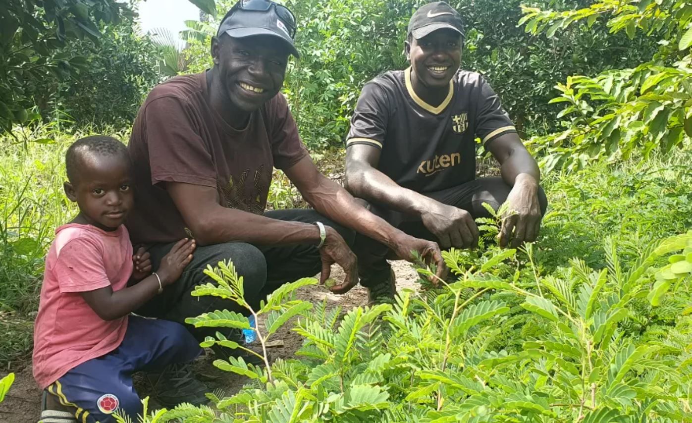 Чоловік із Сенегалу прагне посадити п’ять мільйонів дерев!