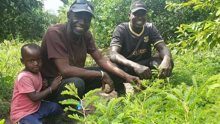 Чоловік із Сенегалу прагне посадити п’ять мільйонів дерев!