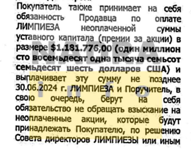 Купуючи 25% акцій Limpieza Limited в 2019 р., Bolatico Limited зобовʼязалася сплатити понад USD 1 180 000 до статутного капіталу Limpieza