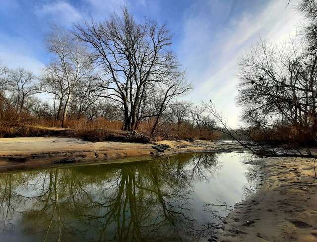 Каховське водосховище критично обміліло, риби майже не лишилося_3