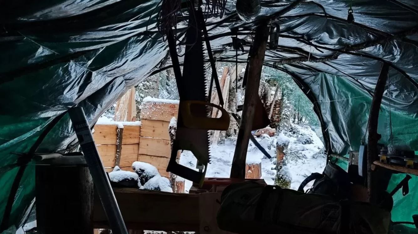 росіяни ховаються від мобілізації у лісі_1