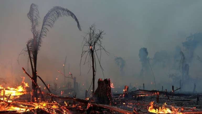 Пожежі у тропічному лісі можуть спричинити танення льодовиків Антарктиди