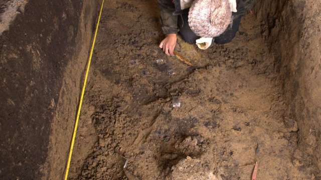 У Румунії знайшли ймовірну могилу гунського вождя Аттили_6