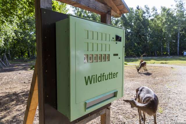 Парк дикої природи в Мюдені (Wildpark Mueden)