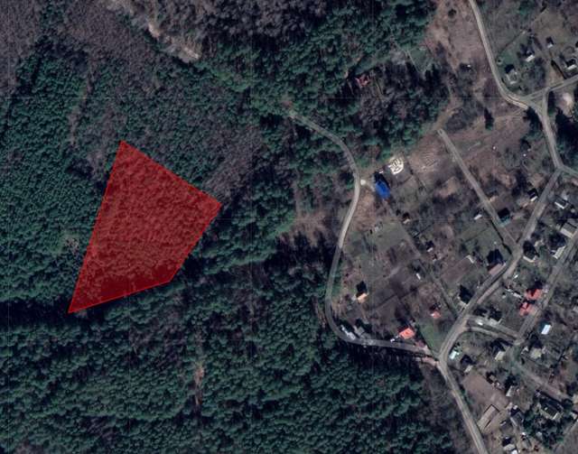 Батько голови НАБУ Кривоноса – корупціонер_1