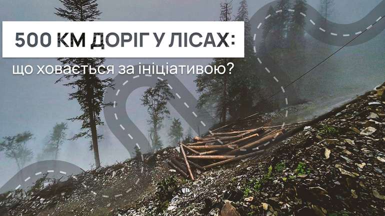 Чому 500 км нових лісових доріг − сумнівна ініціатива?