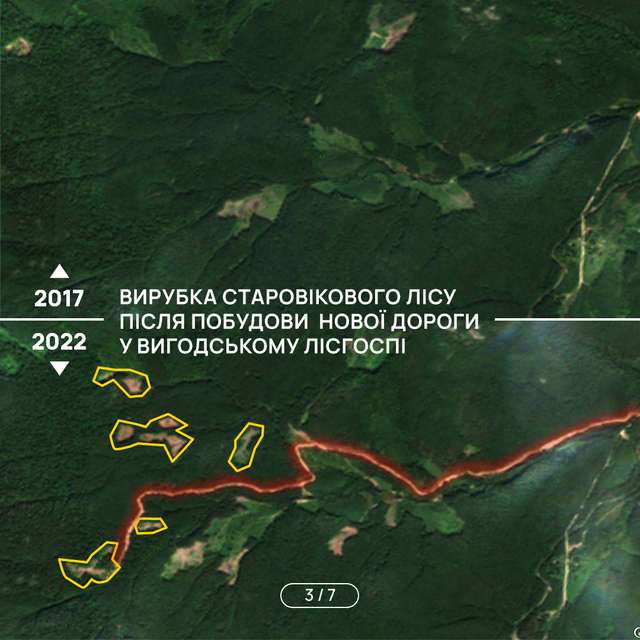Чому 500 км нових лісових доріг − сумнівна ініціатива?_1