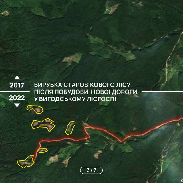 Чому 500 км нових лісових доріг − сумнівна ініціатива?_2