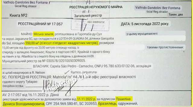 Ватажок донецьких терористів Пушилін зібрався отаборитися у Бразилії_3
