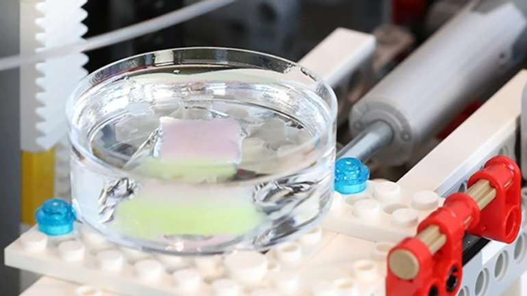 Інженери зібрали із «Lego»-пристрій для вирощування людської шкіри