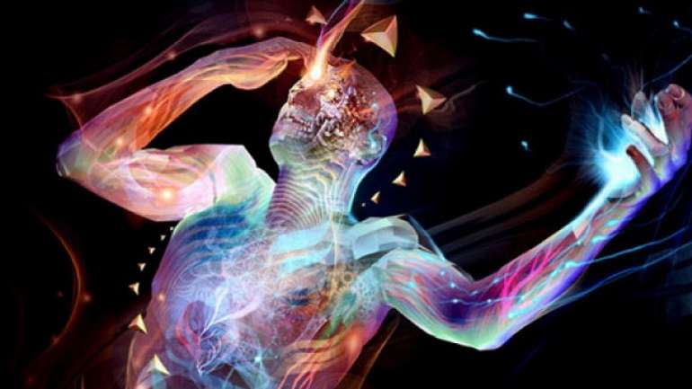 Американські біофізики: смерть – це не кінець життя