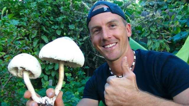 Як зміниться дієта, якщо людство виживе після глобальної катастрофи?_3